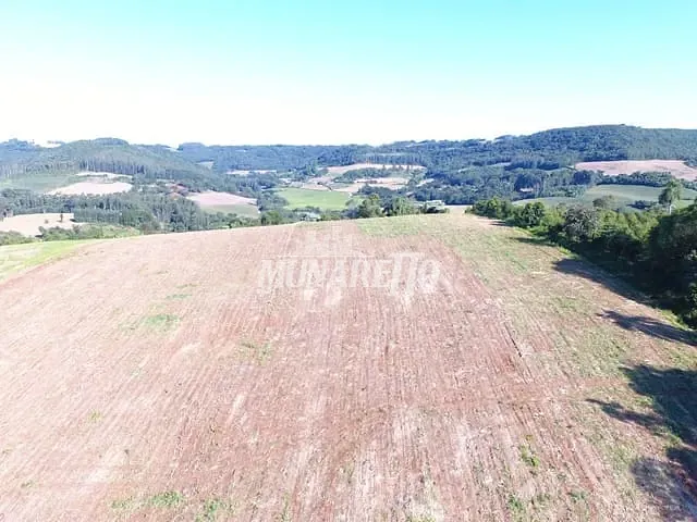 Sítio com 30000m², à venda, no bairro Interior em Jaborá