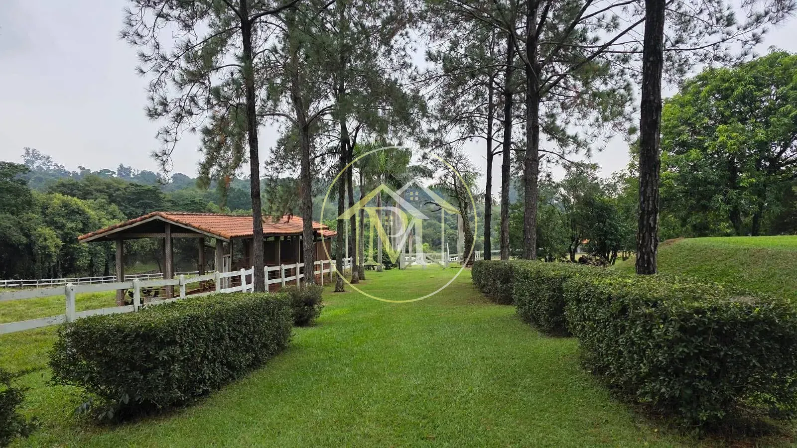 Sítio, 4 quartos, 6 hectares - Foto 6