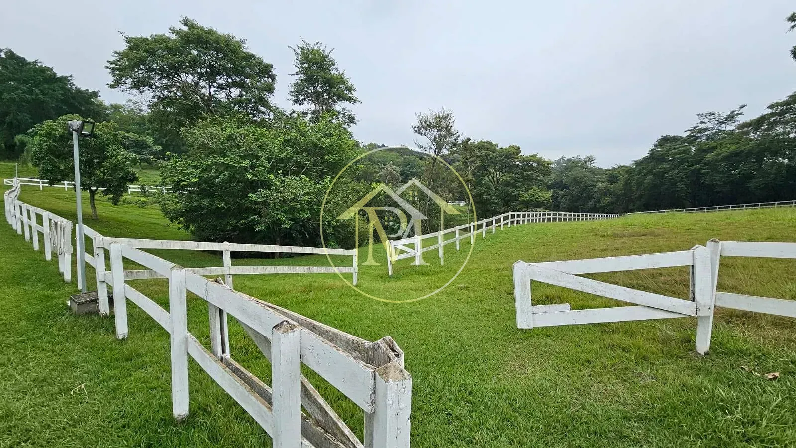 Sítio, 4 quartos, 6 hectares - Foto 10