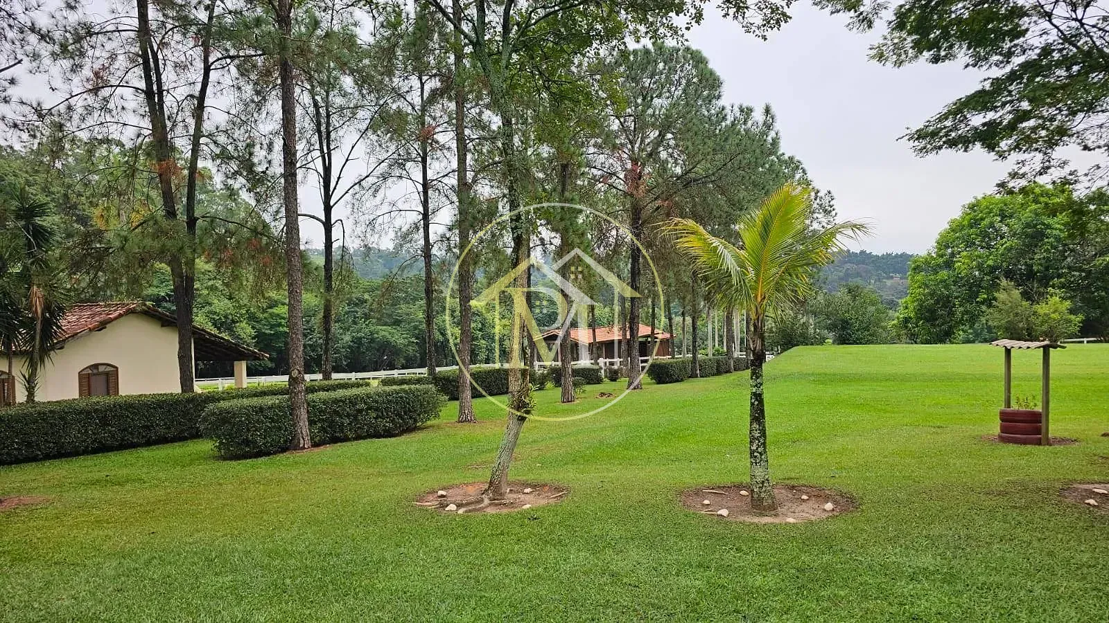 Sítio, 4 quartos, 6 hectares - Foto 11