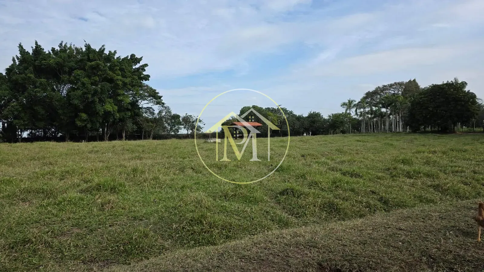 Sítio, 3 quartos, 6 hectares - Foto 7
