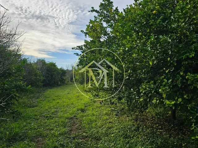 Sítio com 96800m² 3 quartos e 4 banheiros, à venda, no bairro Área rural em Araçoiaba da Serra