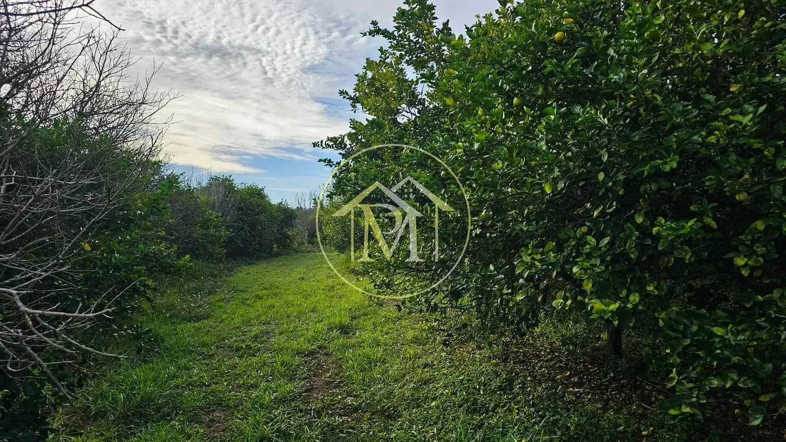 Fazenda, 10 hectares - Foto 27