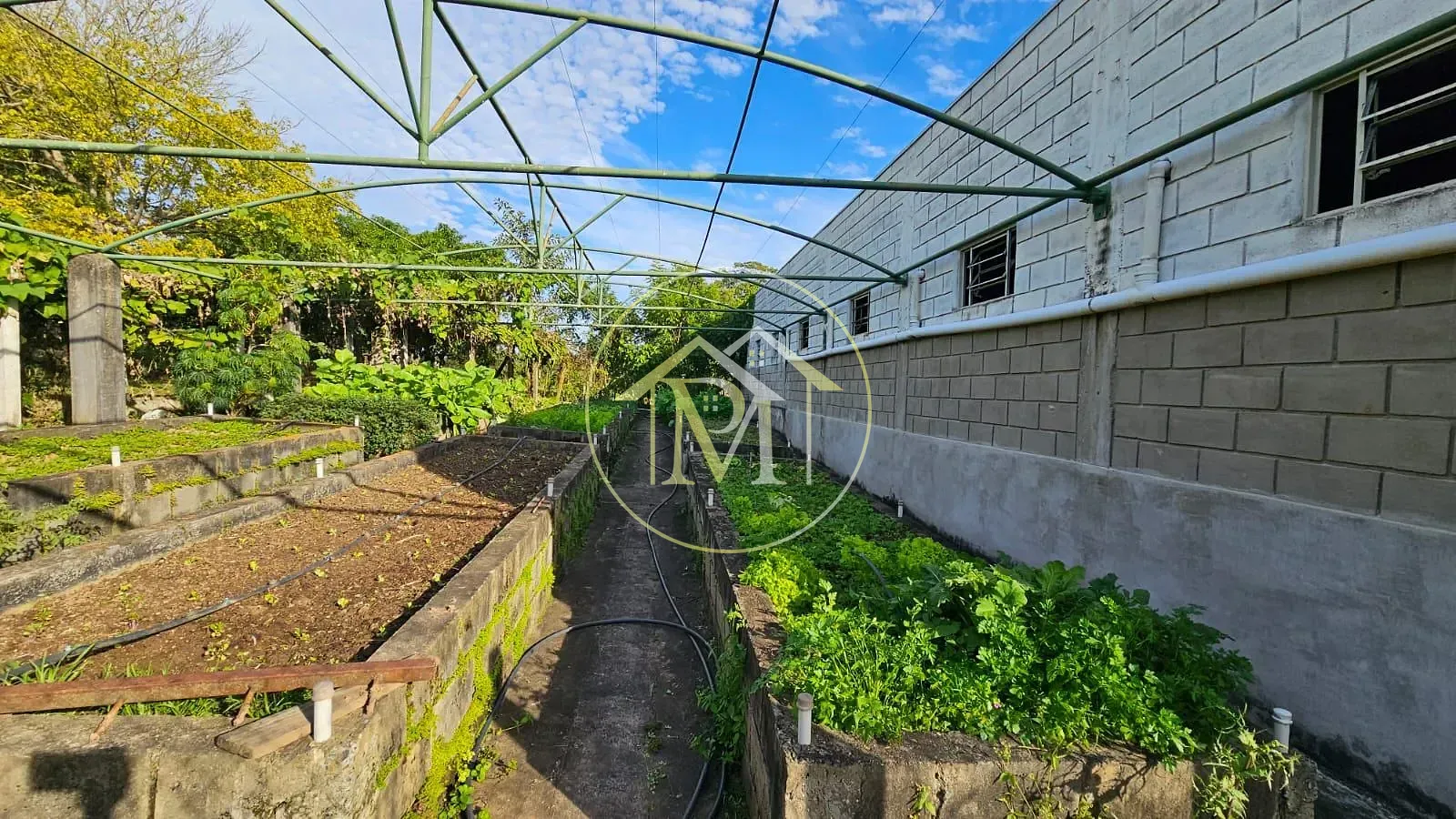 Fazenda, 10 hectares - Foto 29