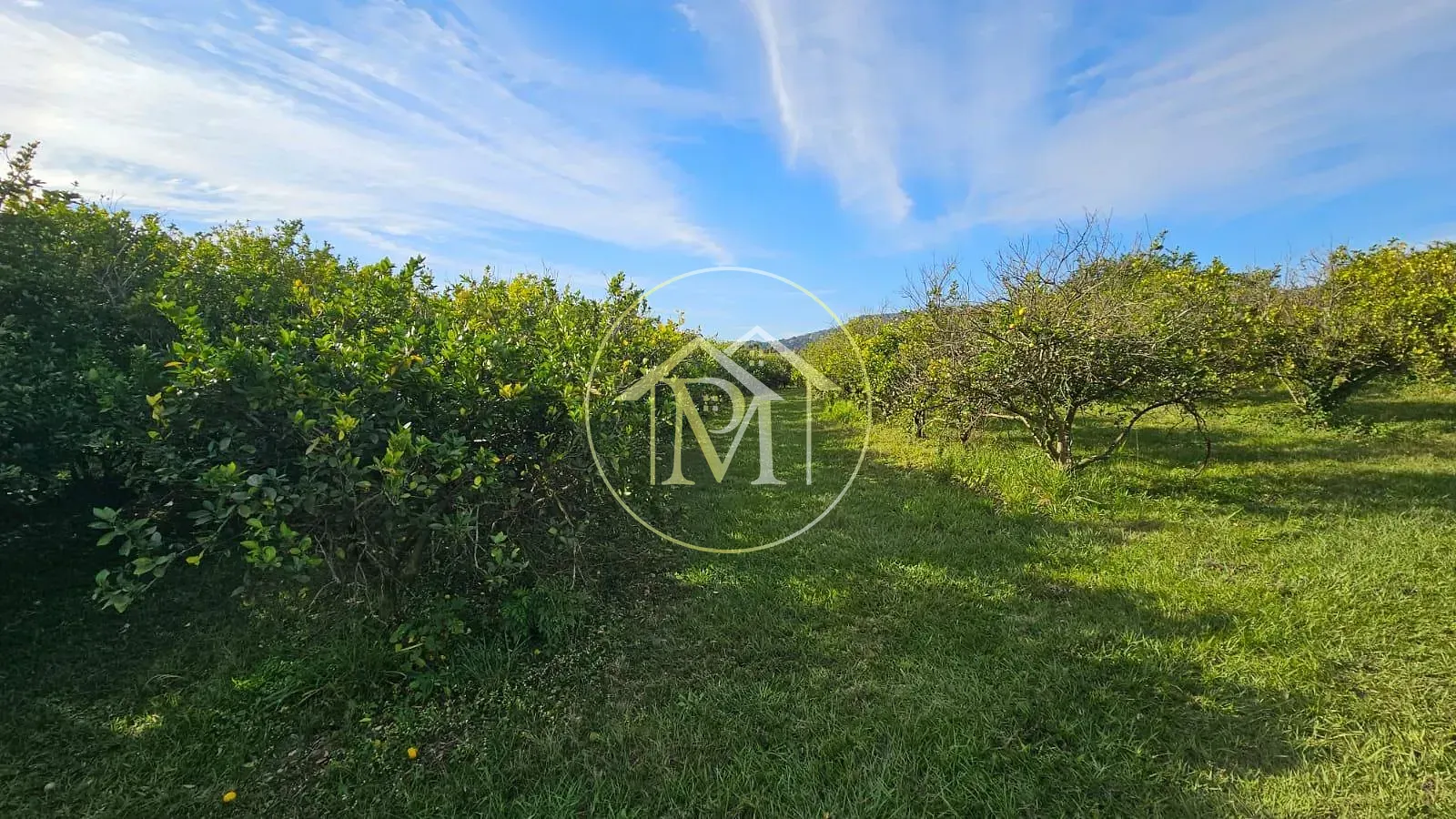 Fazenda, 10 hectares - Foto 36