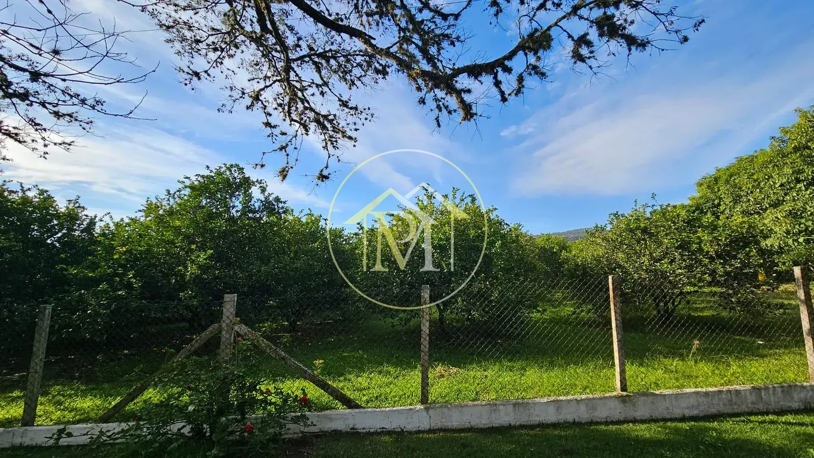 Fazenda, 10 hectares - Foto 49