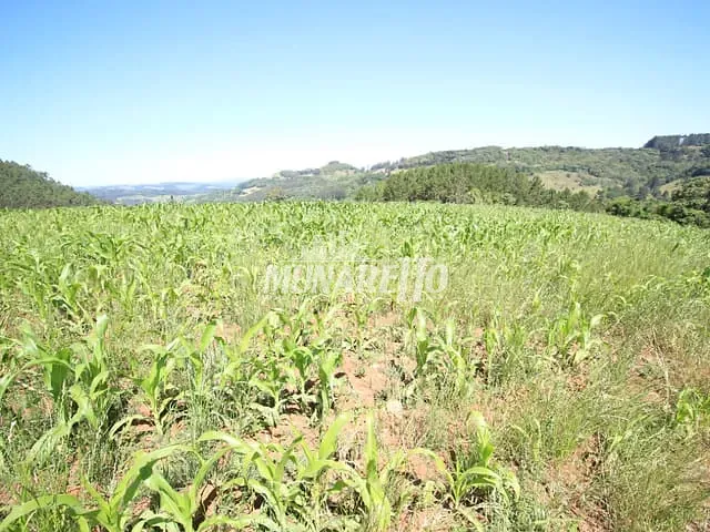 Sítio com 50000m² 2 quartos e 1 banheiro, à venda, no bairro Putinga em Ipira