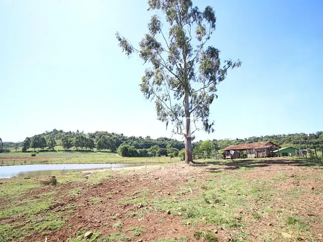 Sítio com 50000m² 2 quartos e 1 banheiro, à venda, no bairro Putinga em Ipira
