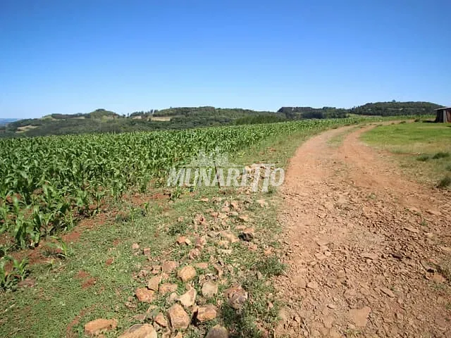 Sítio com 50000m² 2 quartos e 1 banheiro, à venda, no bairro Putinga em Ipira