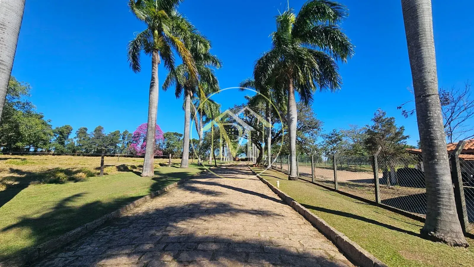 Sítio, 4 quartos, 6 hectares - Foto 4