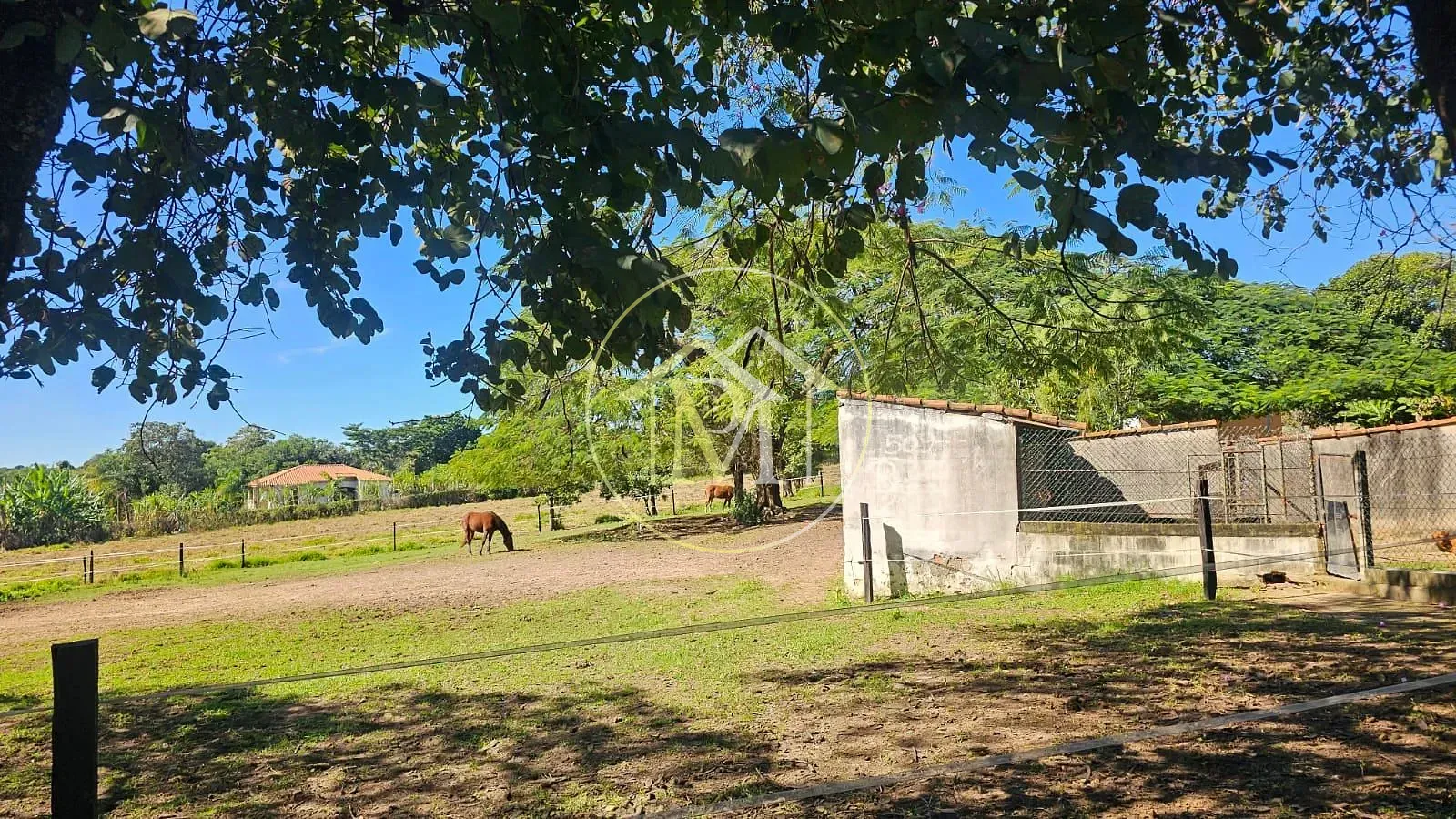 Sítio, 4 quartos, 6 hectares - Foto 9