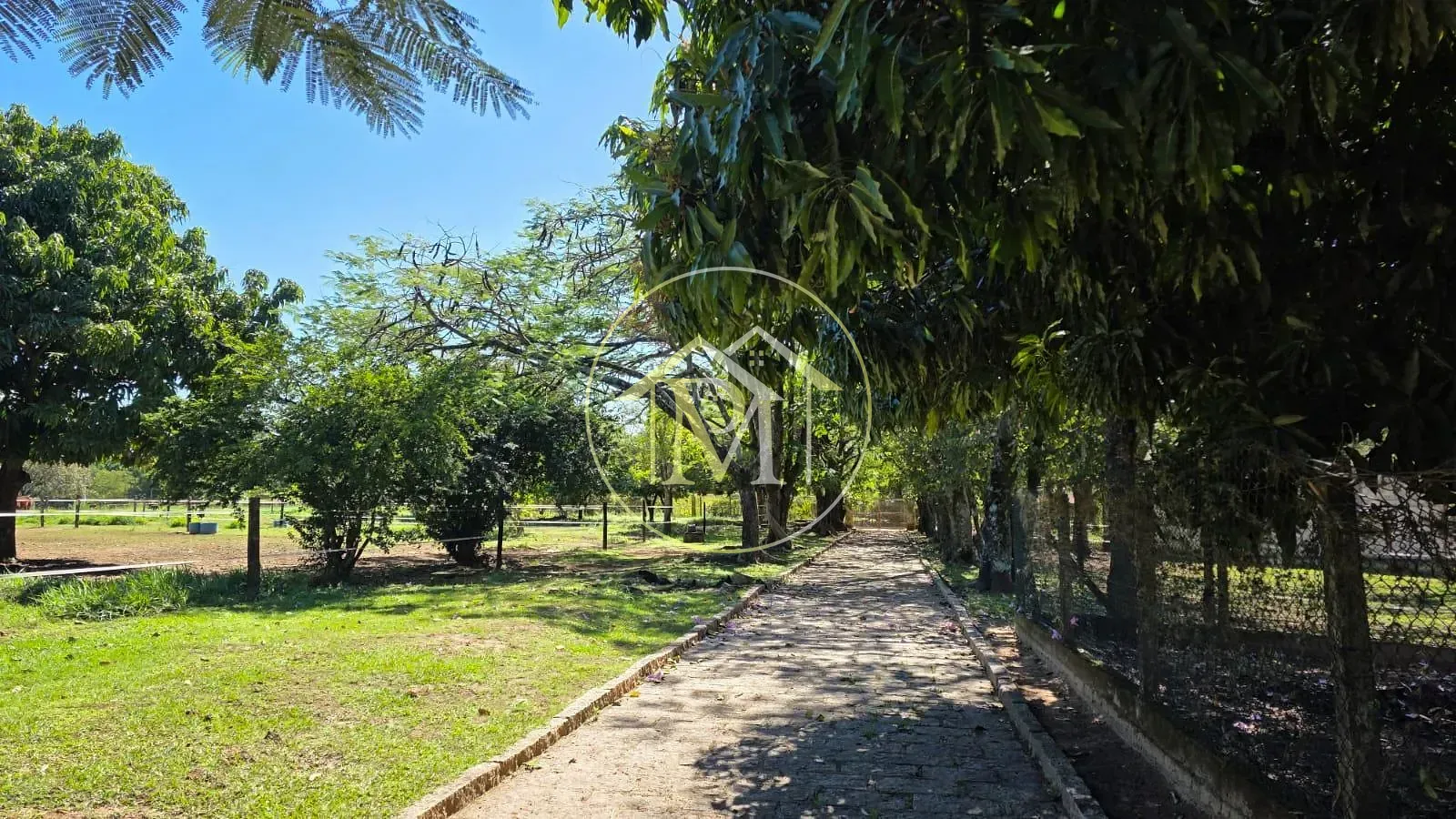 Sítio, 4 quartos, 6 hectares - Foto 18