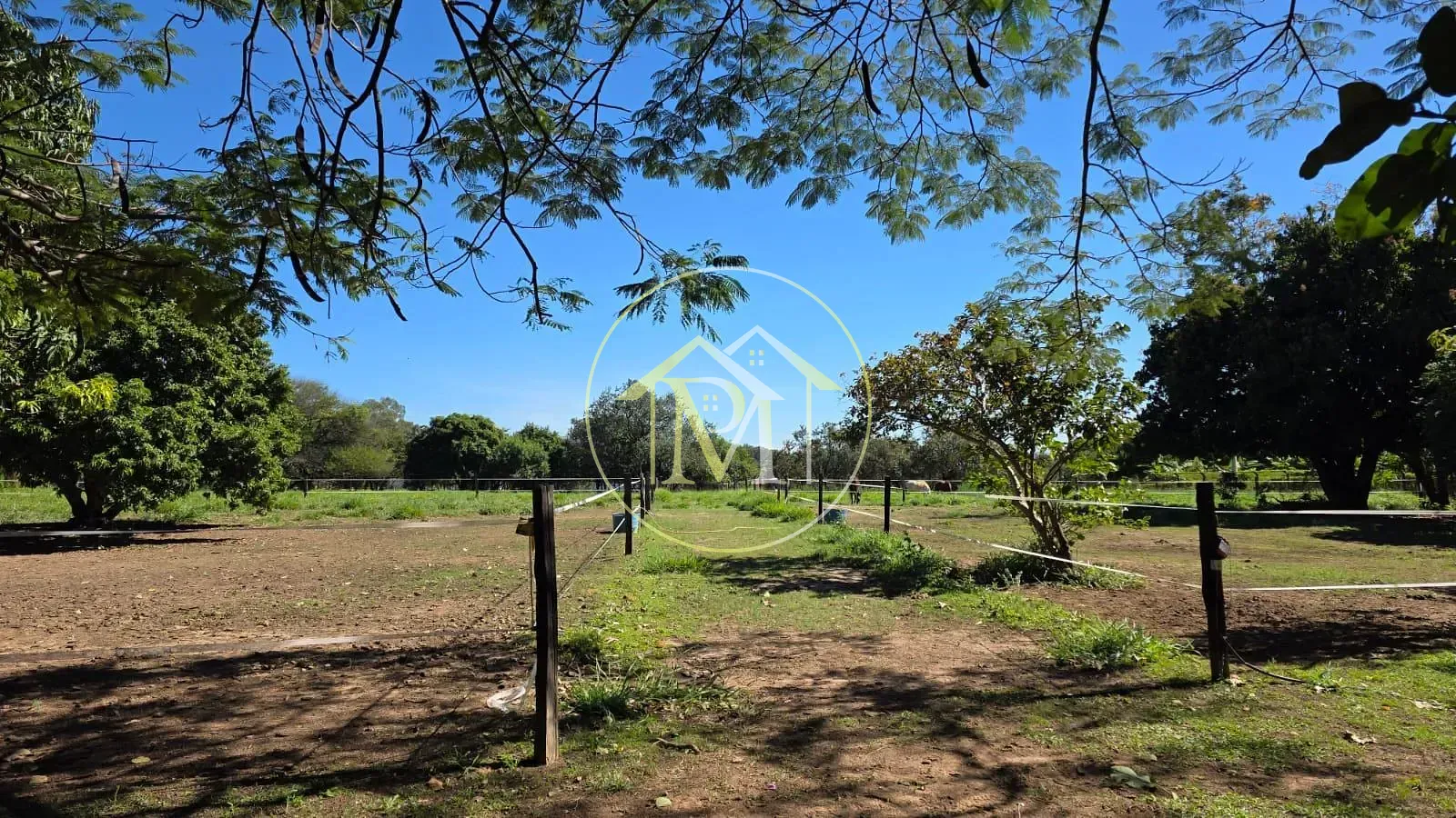 Sítio, 4 quartos, 6 hectares - Foto 15