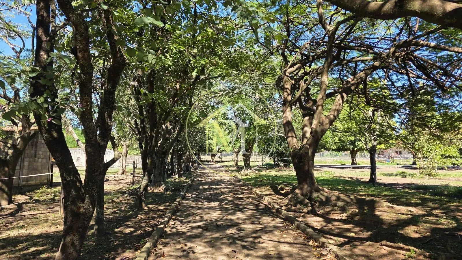Sítio, 4 quartos, 6 hectares - Foto 10