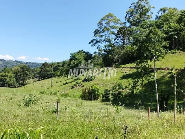 Sítio com 400m² 2 quartos e 1 banheiro, à venda, no bairro Linha Penísula em Ipira
