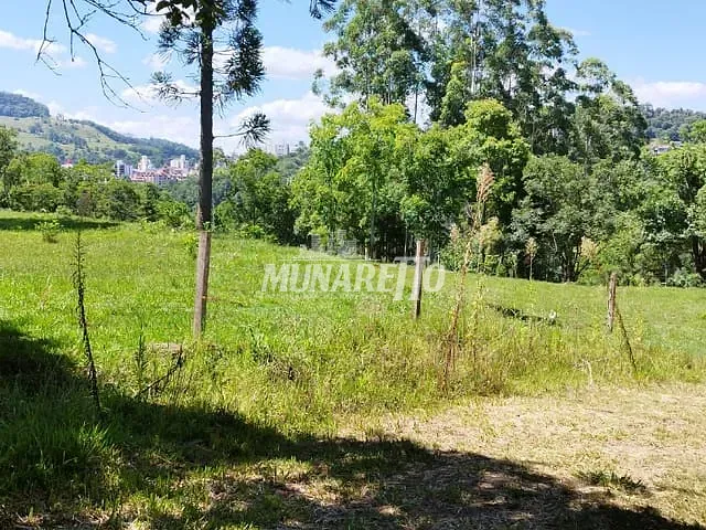 Sítio com 400m² 2 quartos e 1 banheiro, à venda, no bairro Linha Penísula em Ipira