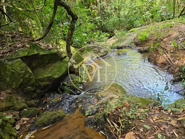 Sítio com 96800m² 4 quartos e 3 banheiros, à venda, no bairro Área rural em São Roque
