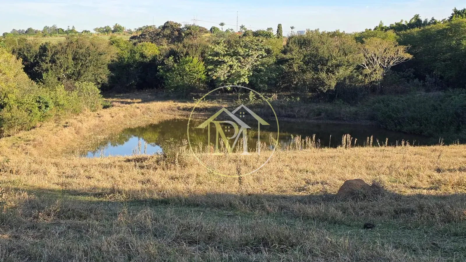 Chácara, 5 quartos, 2 hectares - Foto 4