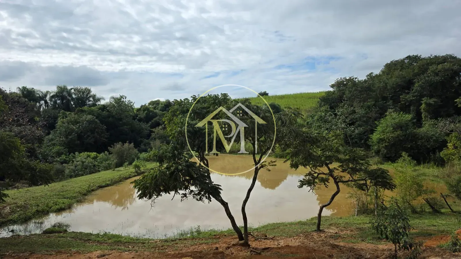 Sítio, 5 quartos, 11 hectares - Foto 11