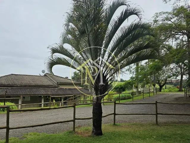 Sítio com 48000m² 4 quartos e 2 banheiros, à venda, no bairro Área rural em Boituva