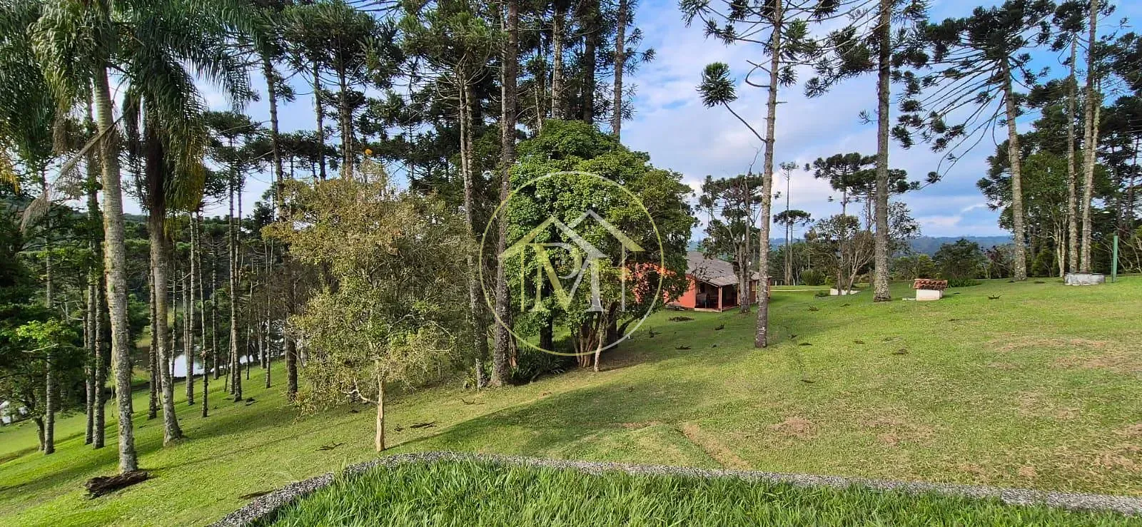 Fazenda, 39 hectares - Foto 46