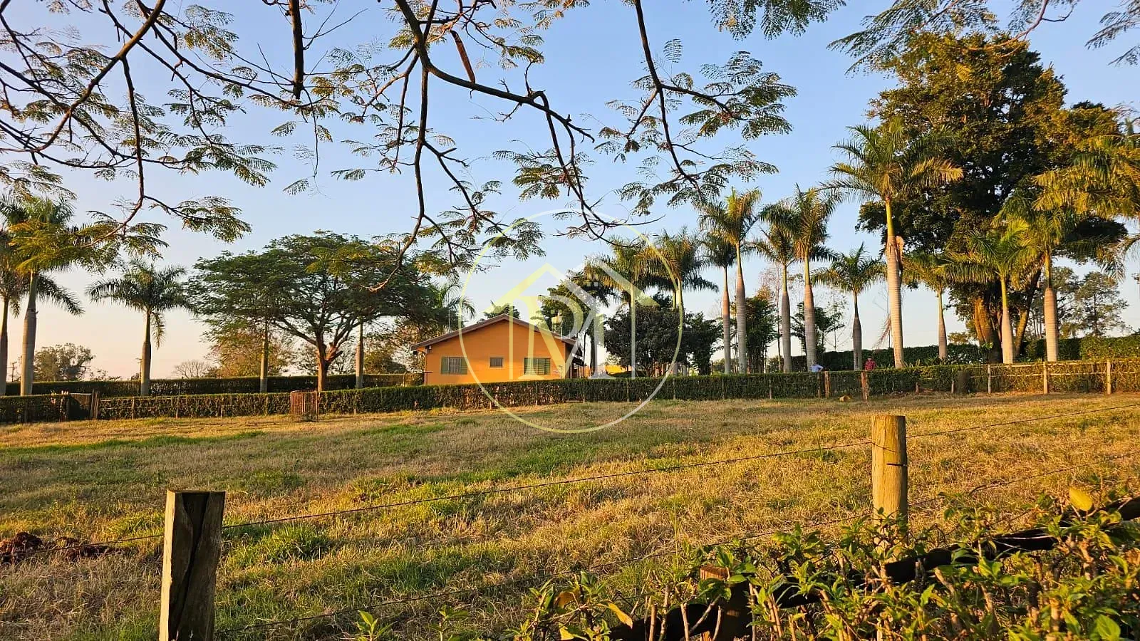Sítio, 4 quartos, 11 hectares - Foto 4