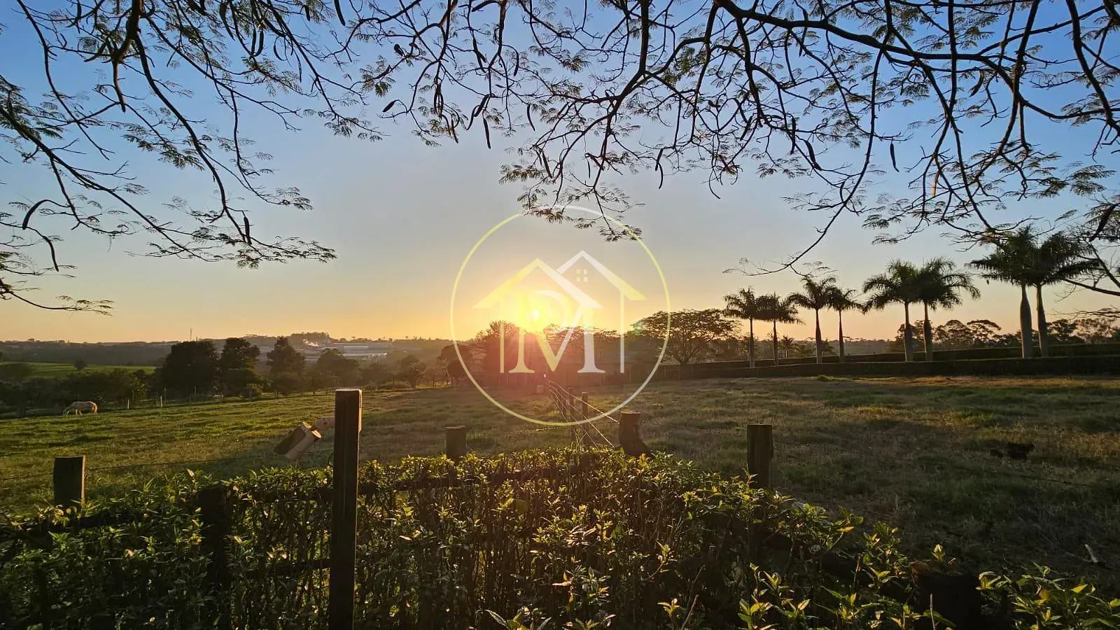 Sítio, 4 quartos, 11 hectares - Foto 7