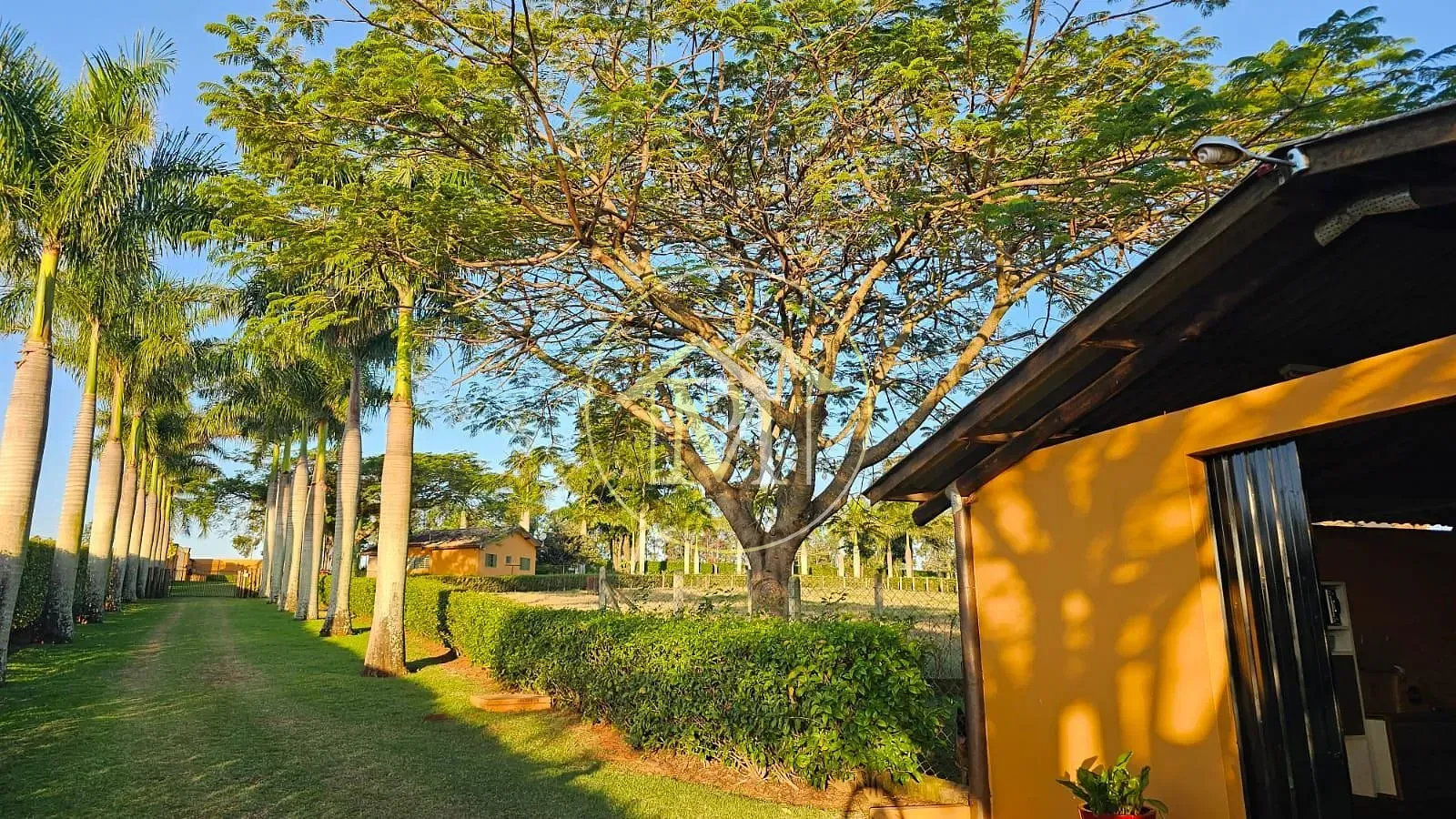 Sítio, 4 quartos, 11 hectares - Foto 41