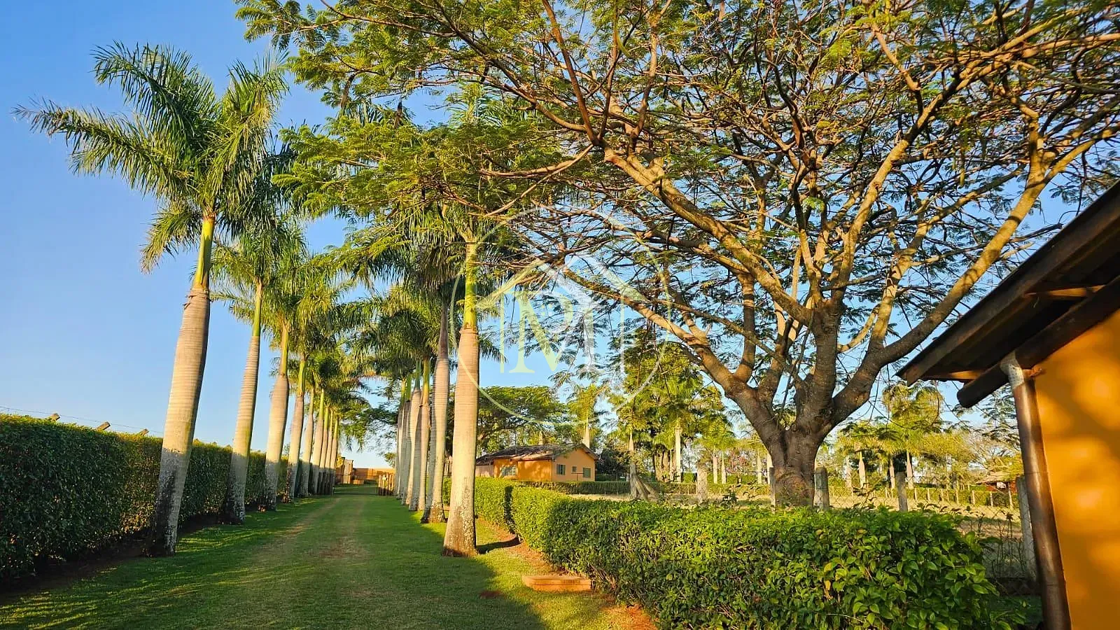 Sítio, 4 quartos, 11 hectares - Foto 46
