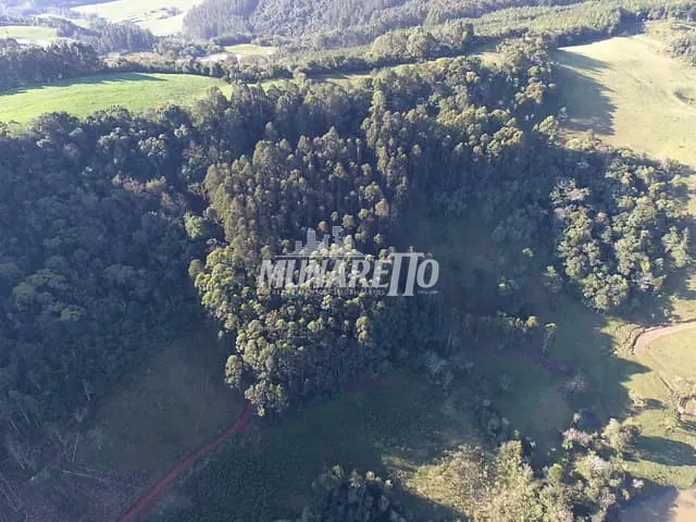 Sítio com 194519m² 2 quartos e 1 banheiro, à venda, no bairro Interior em Irani