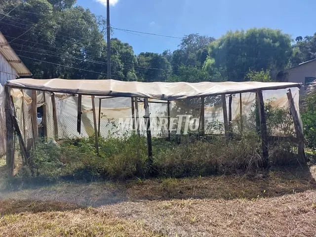 Sítio com 102000m² 3 quartos e 2 banheiros, à venda, no bairro Interior em Concórdia