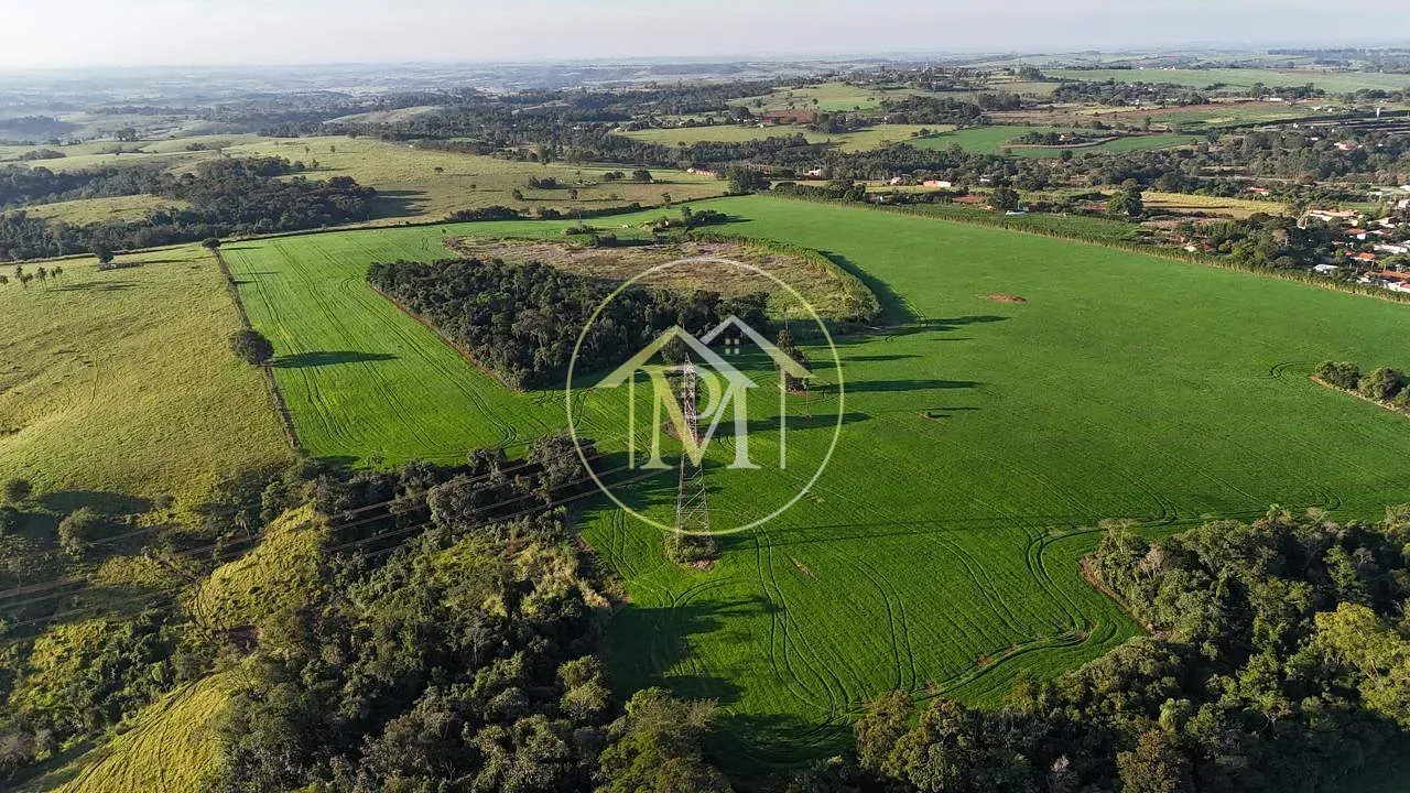 Fazenda, 29 hectares - Foto 3