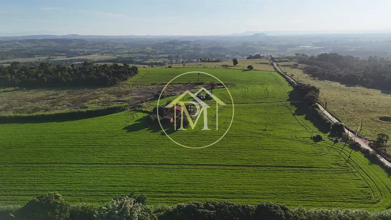 Fazenda, 29 hectares - Foto 4
