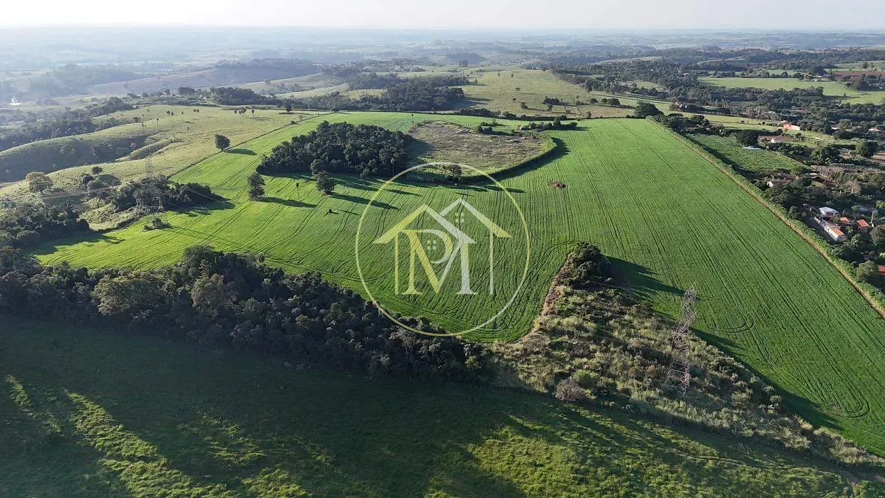 Fazenda, 29 hectares - Foto 8