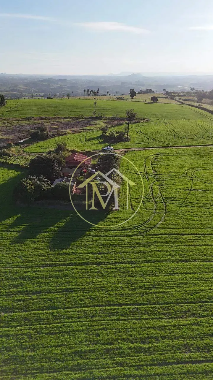 Fazenda, 29 hectares - Foto 9