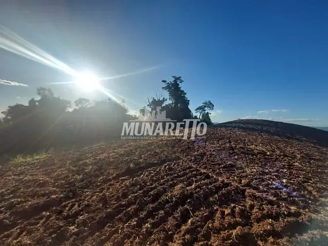 Sítio com 81m² 2 quartos e 2 banheiros, à venda, no bairro Interior em Jaborá