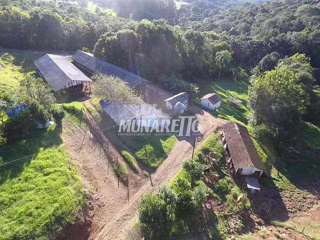 Sítio com 81m² 2 quartos e 2 banheiros, à venda, no bairro Interior em Jaborá