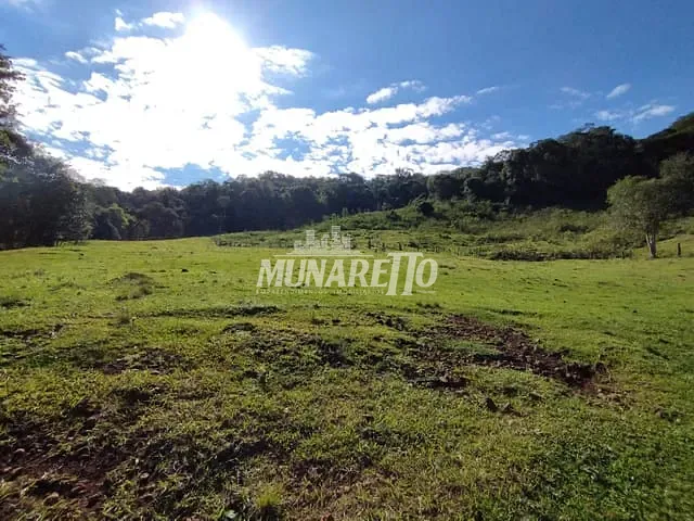 Sítio com 81353m², à venda, no bairro Linha Dos Pintos em Ipira