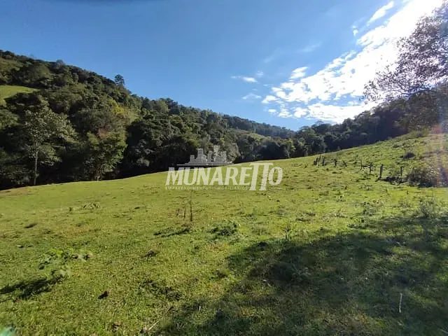 Sítio com 81353m², à venda, no bairro Linha Dos Pintos em Ipira