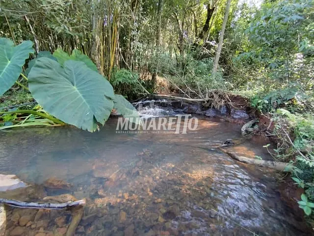 Sítio com 81353m², à venda, no bairro Linha Dos Pintos em Ipira