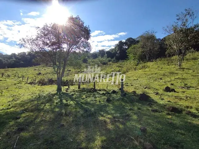 Sítio com 81353m², à venda, no bairro Linha Dos Pintos em Ipira