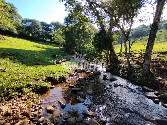 Sítio com 30000m², à venda, no bairro Linha Dos Pintos em Ipira