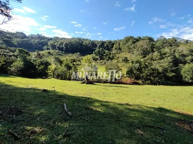 Sítio com 30000m², à venda, no bairro Linha Dos Pintos em Ipira