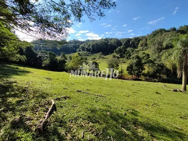 Sítio com 30000m², à venda, no bairro Linha Dos Pintos em Ipira