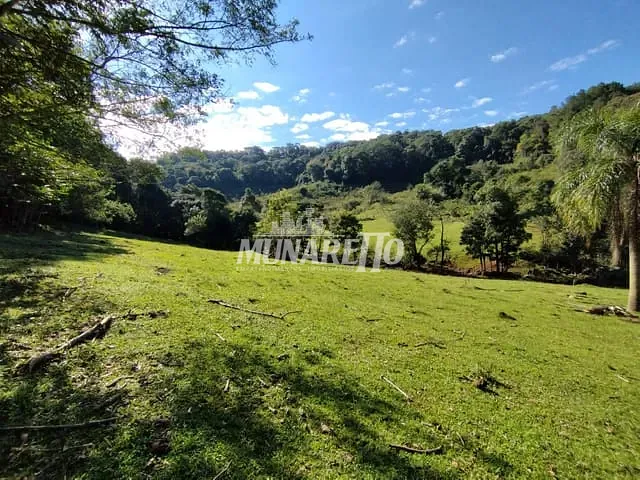 Sítio com 30000m², à venda, no bairro Linha Dos Pintos em Ipira