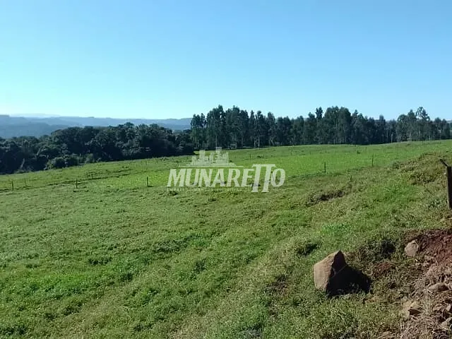 Fazenda com 218000m² 4 quartos e 4 banheiros, à venda, no bairro Interior em Concórdia