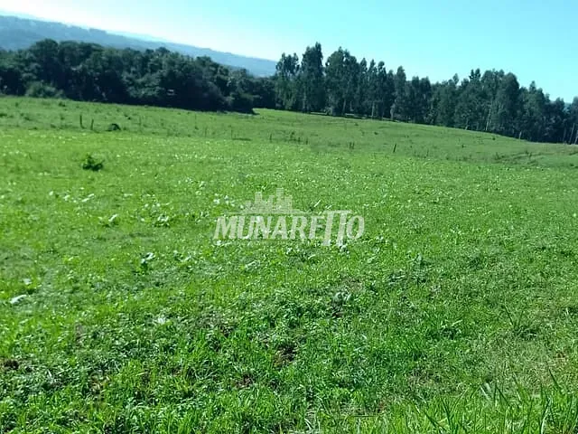 Fazenda com 218000m² 4 quartos e 4 banheiros, à venda, no bairro Interior em Concórdia