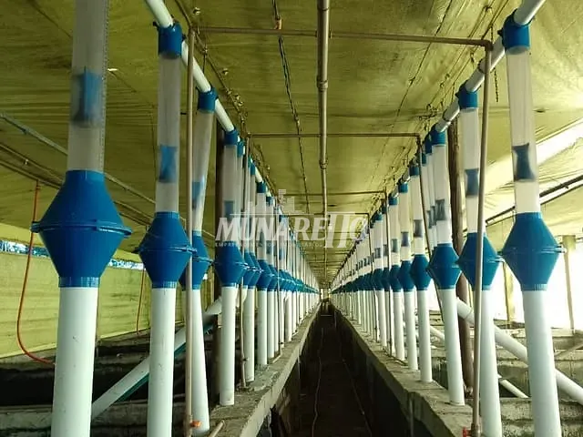 Fazenda com 218000m² 4 quartos e 4 banheiros, à venda, no bairro Interior em Concórdia