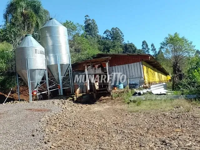 Fazenda com 218000m² 4 quartos e 4 banheiros, à venda, no bairro Interior em Concórdia