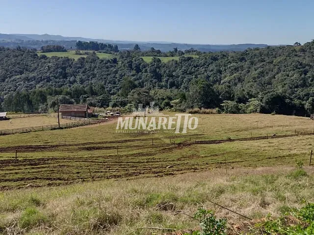 Sítio com 440000m² 7 quartos e 2 banheiros, à venda, no bairro Interior em Concórdia